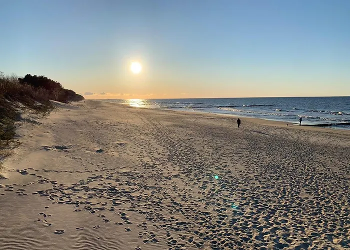 Wellness & - - Lesne Tarasy - 150 M Od Morza Dziwnówek